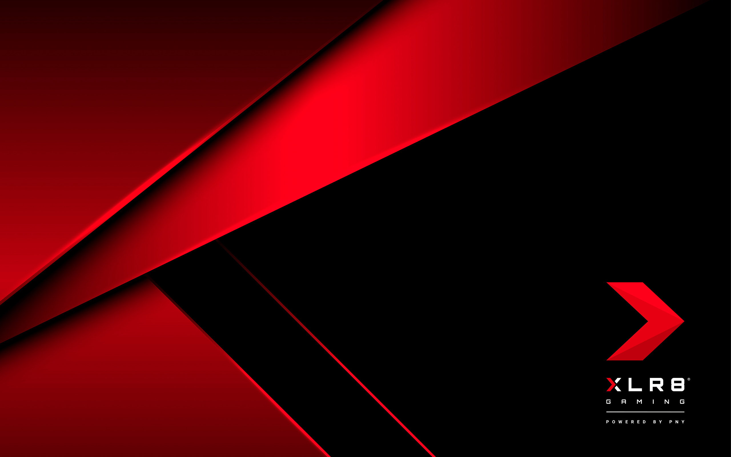 Discover XLR8 Wallpapers | pny.com